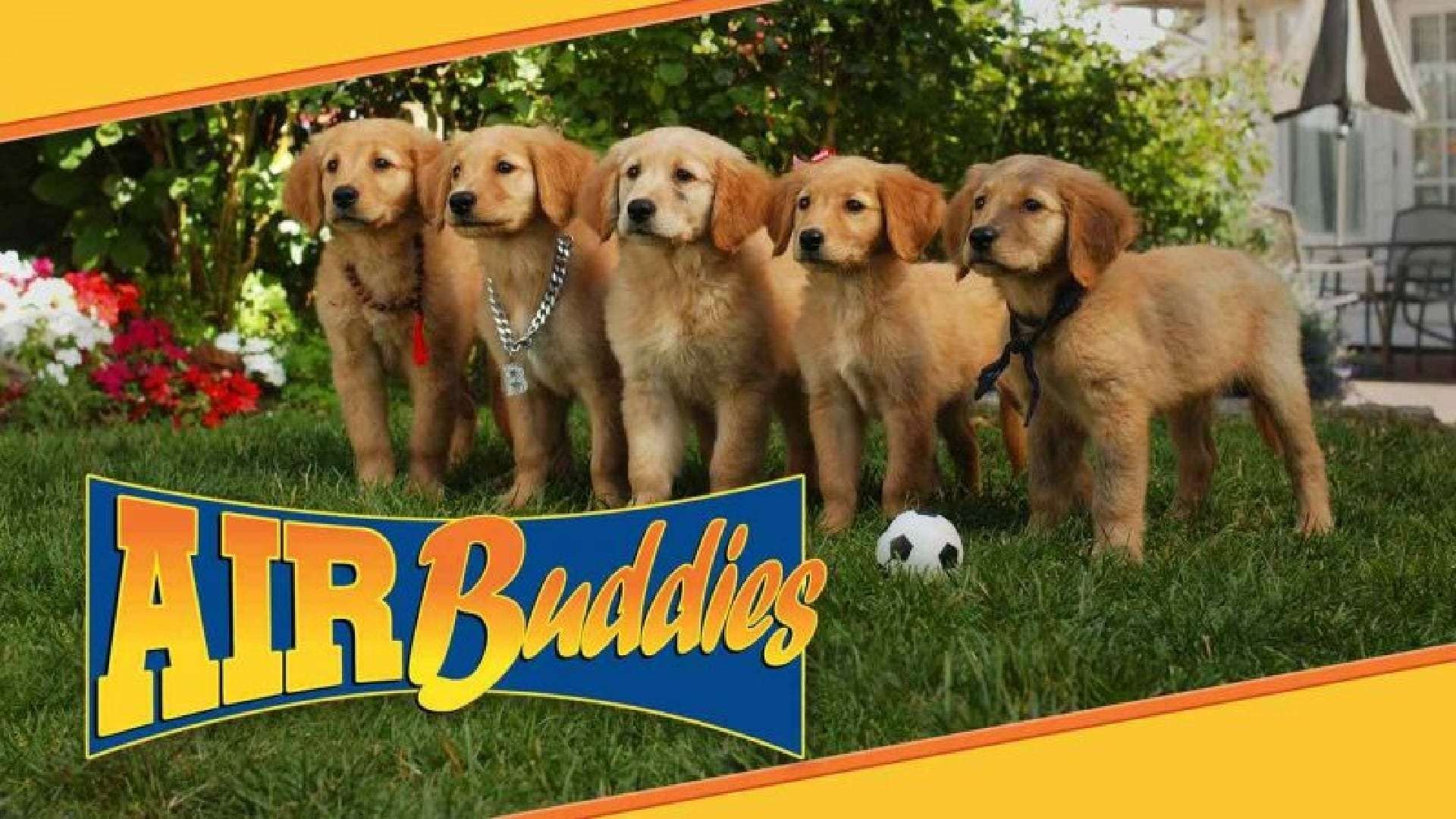 Air Buddies