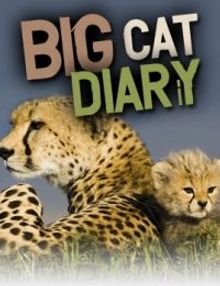 Big Cat Diary