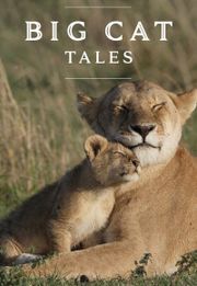 Big Cat Tales