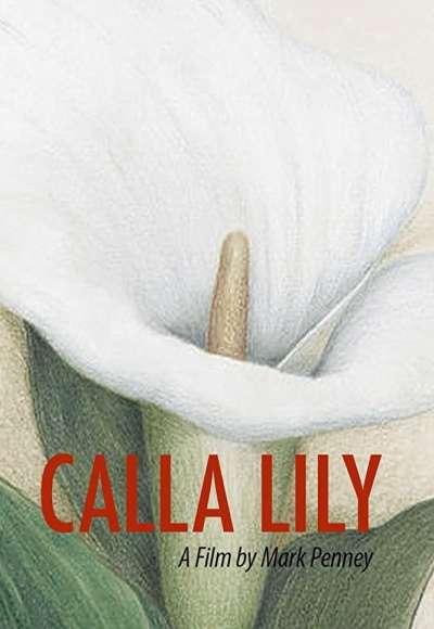 Calla Lily