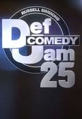 Def Comedy Jam 25