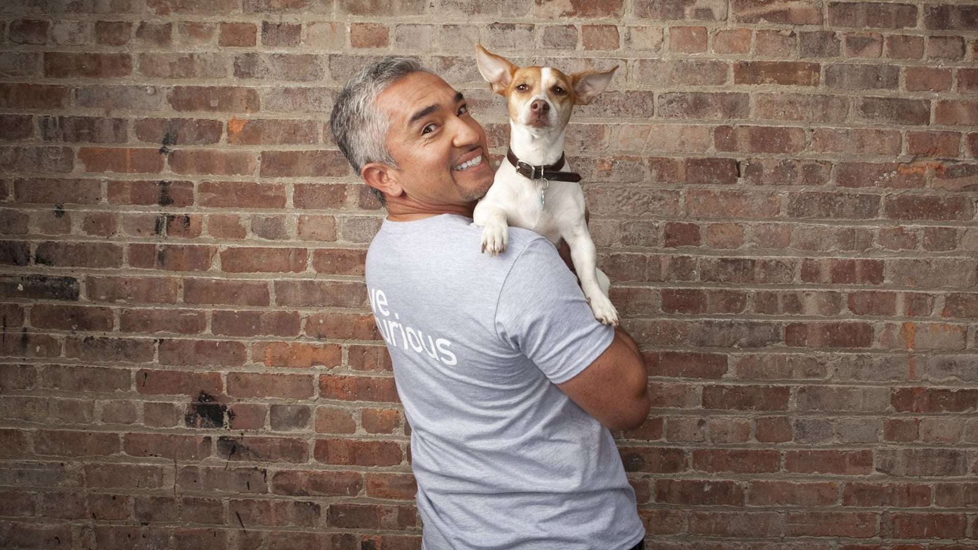 Dog Whisperer with Cesar Millan