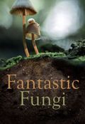 Fantastic Fungi