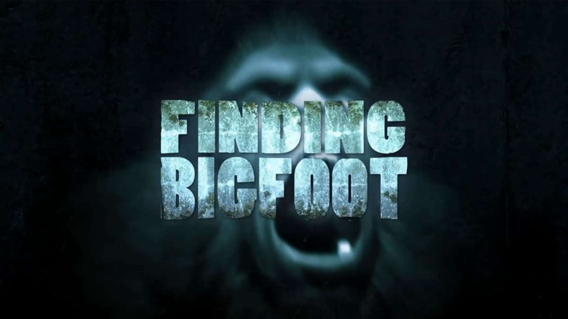 Finding Bigfoot