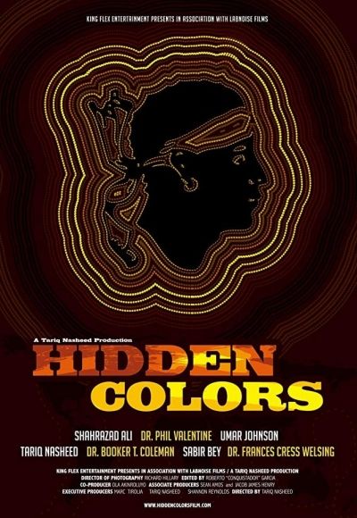 Hidden Colors