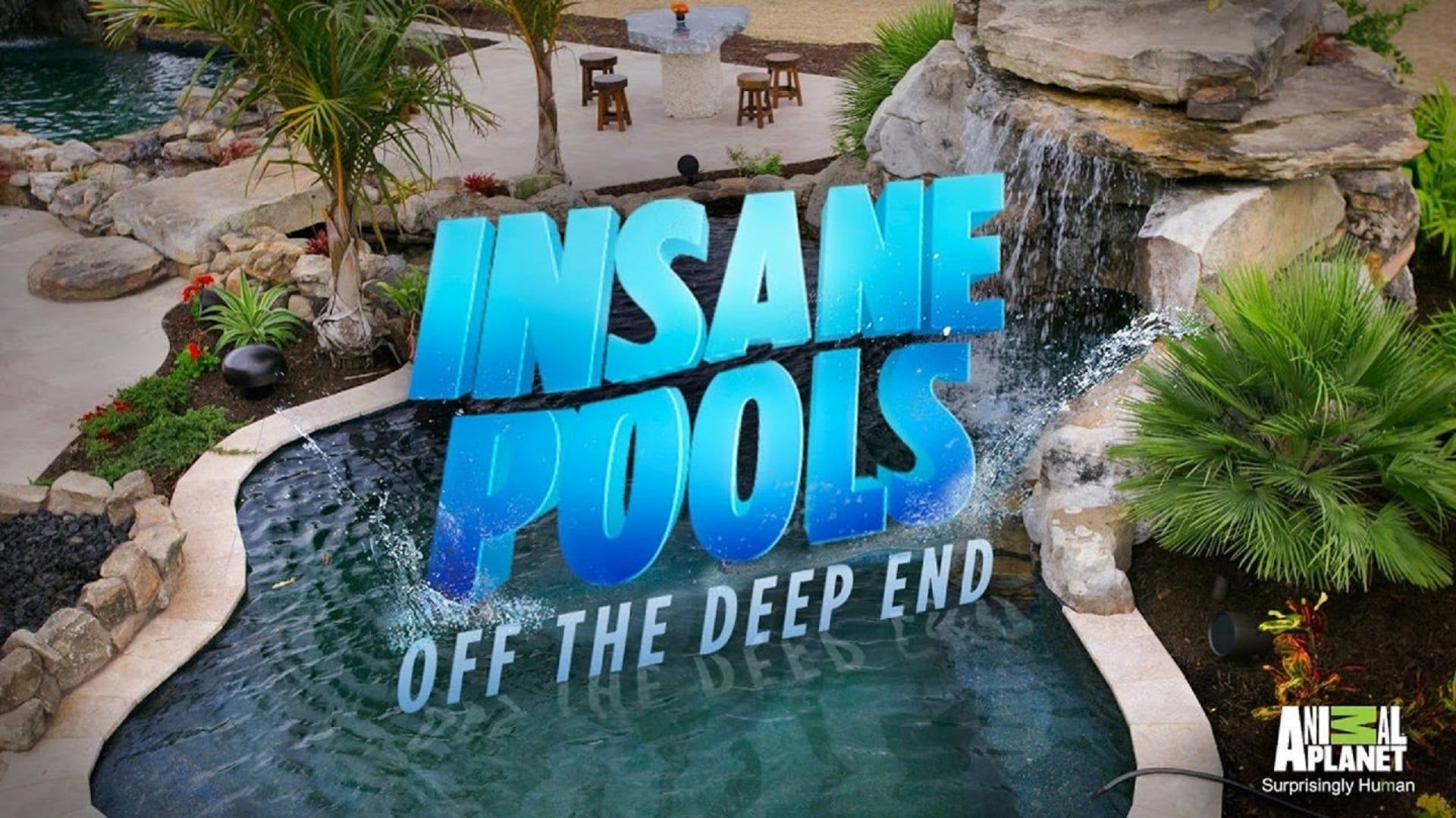 Insane Pools Off the Deep End