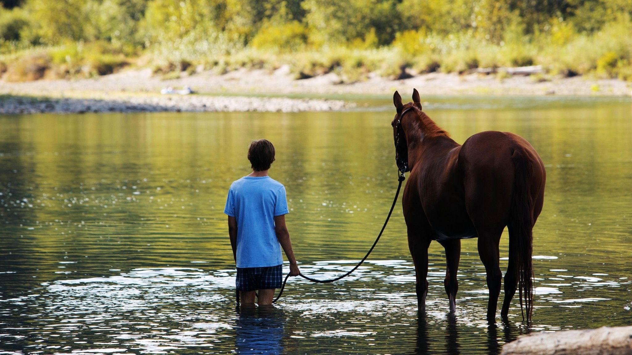 Lean on Pete