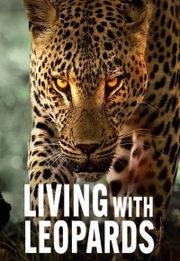 Living with Leopards