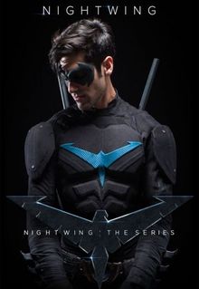 Nightwing: The Series