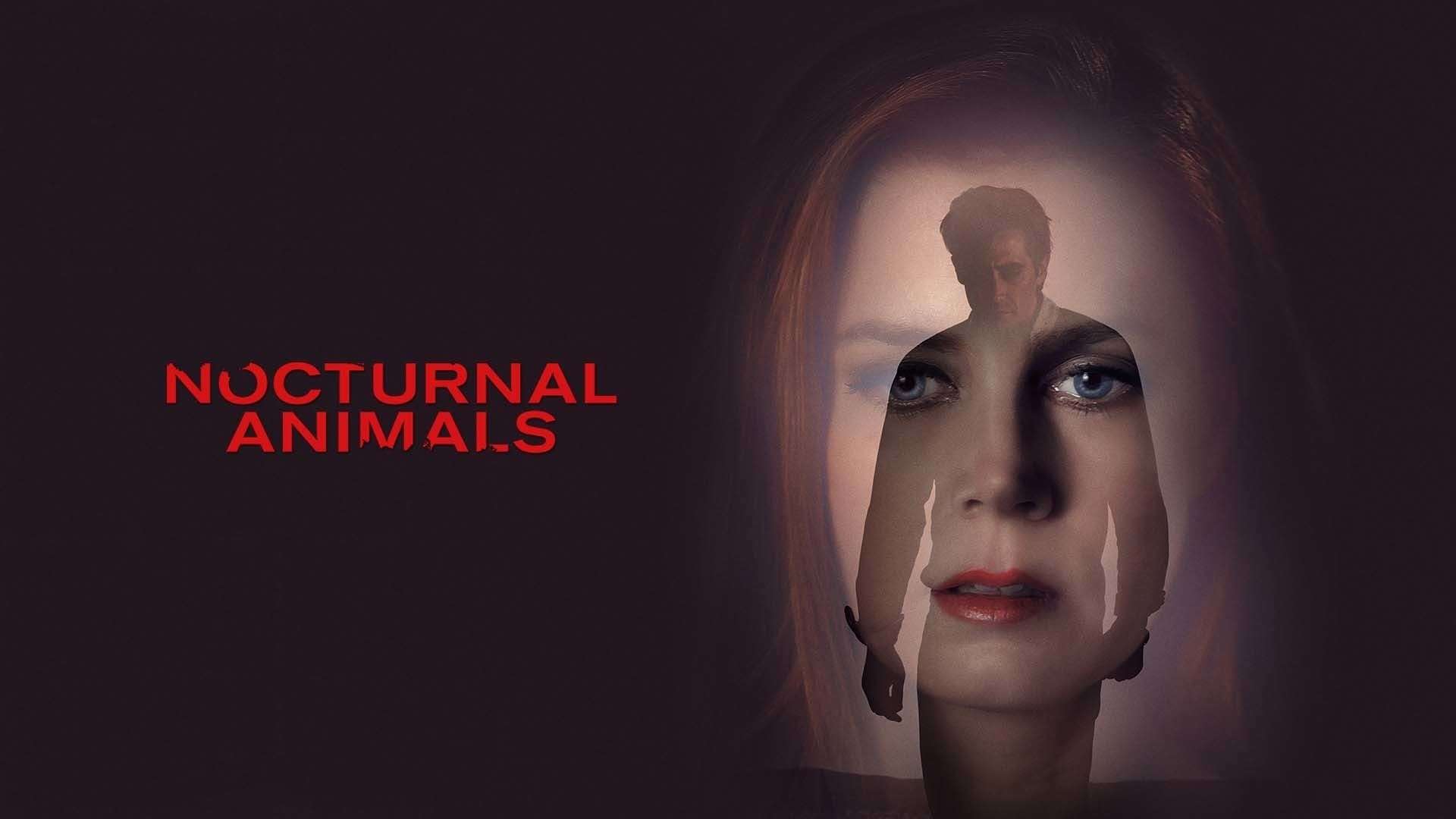 Nocturnal Animals