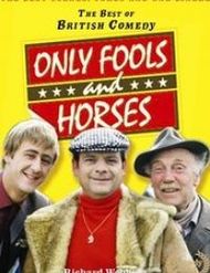 Only Fools and Horses: Licensed to Drill