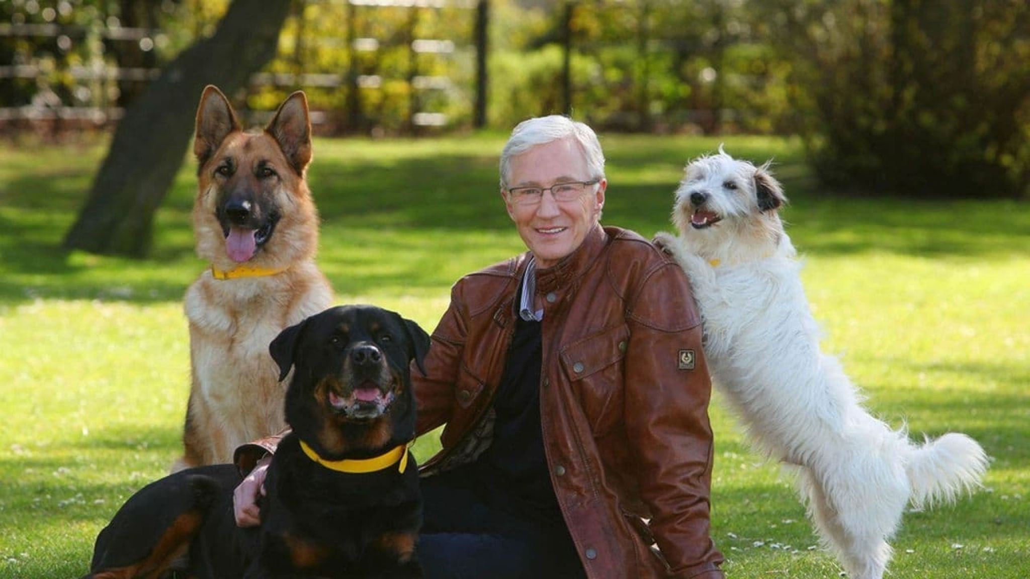 Paul O'Grady: For the Love of Dogs