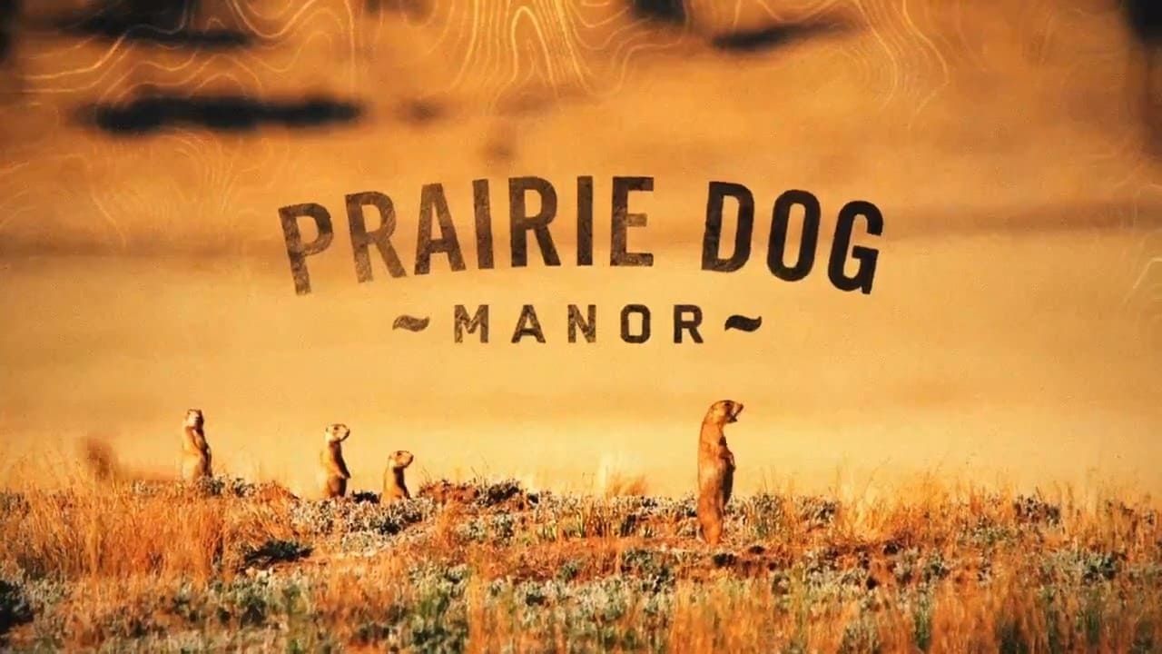 Prairie Dog Manor