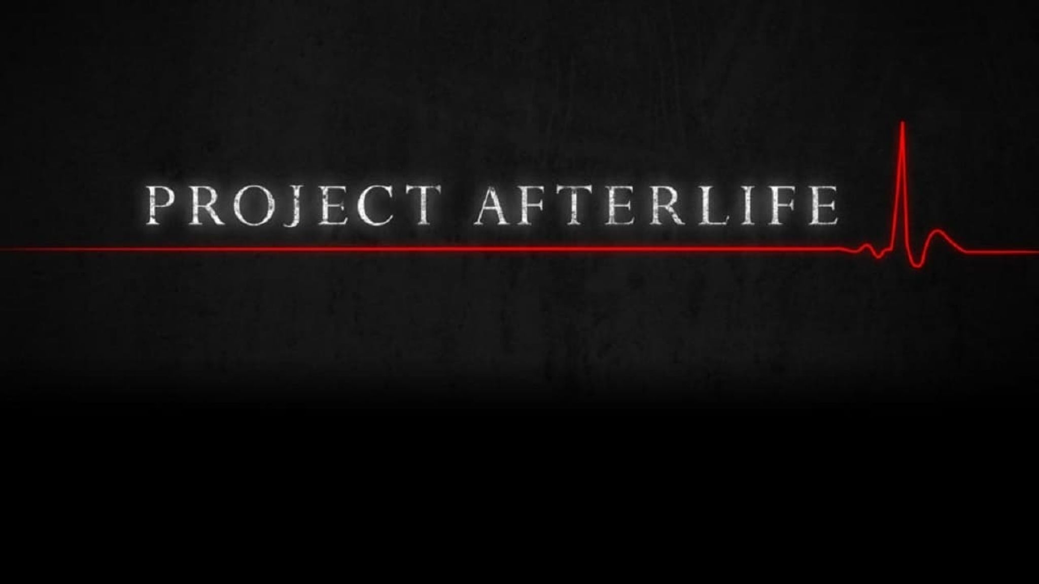 Project Afterlife