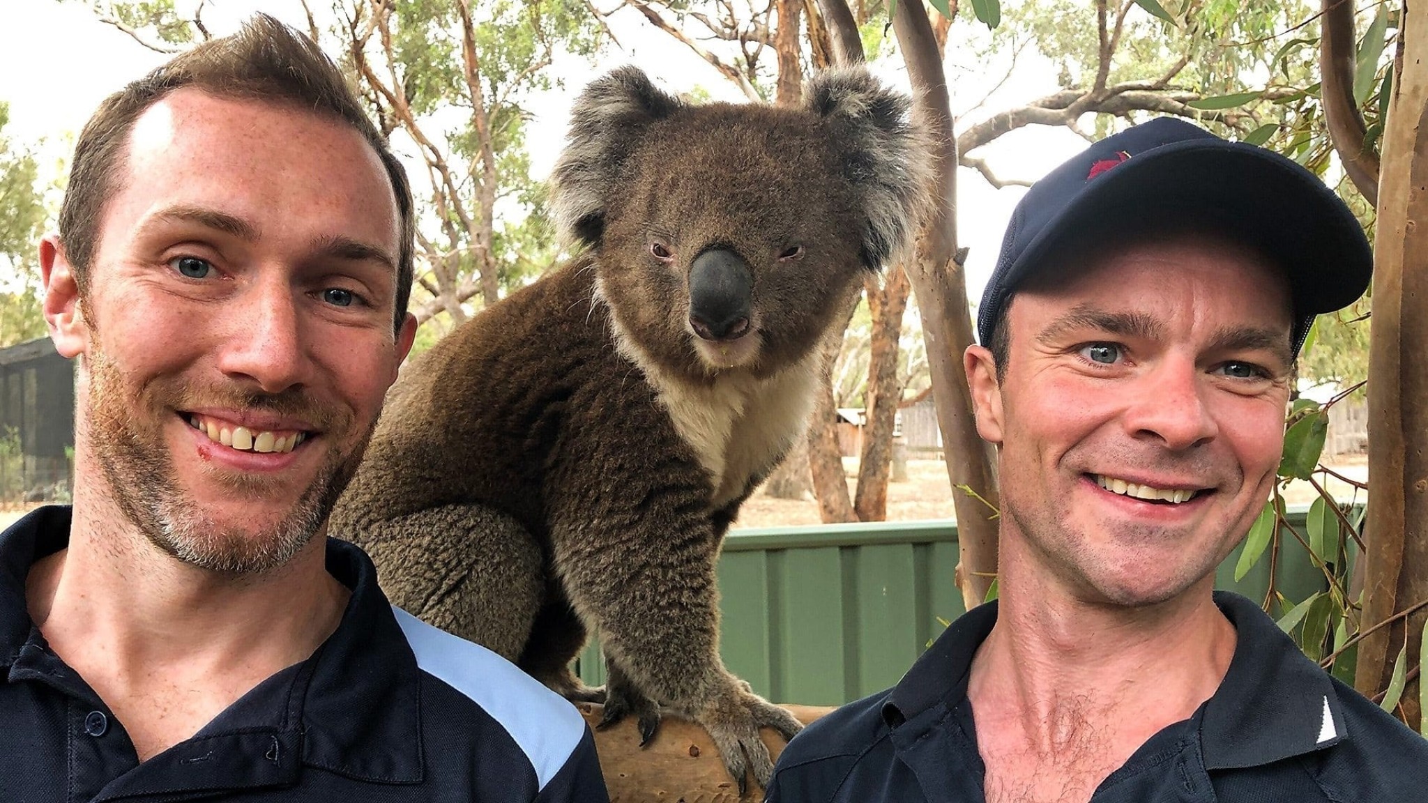 Scottish Vets Down Under