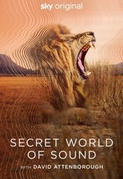 Secret World of Sound with David Attenborough