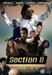 Section 8