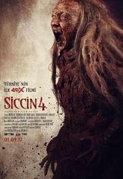 Siccin 4