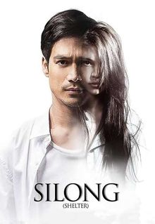 Silong