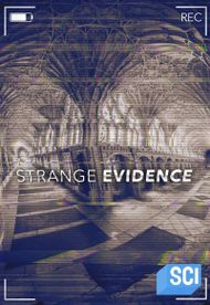 Strange Evidence