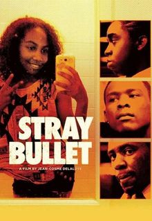 Stray Bullet