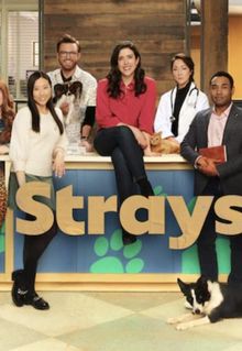 Strays