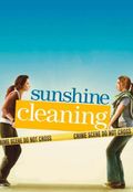 Sunshine Cleaning