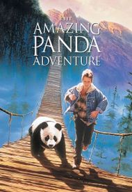 The Amazing Panda Adventure