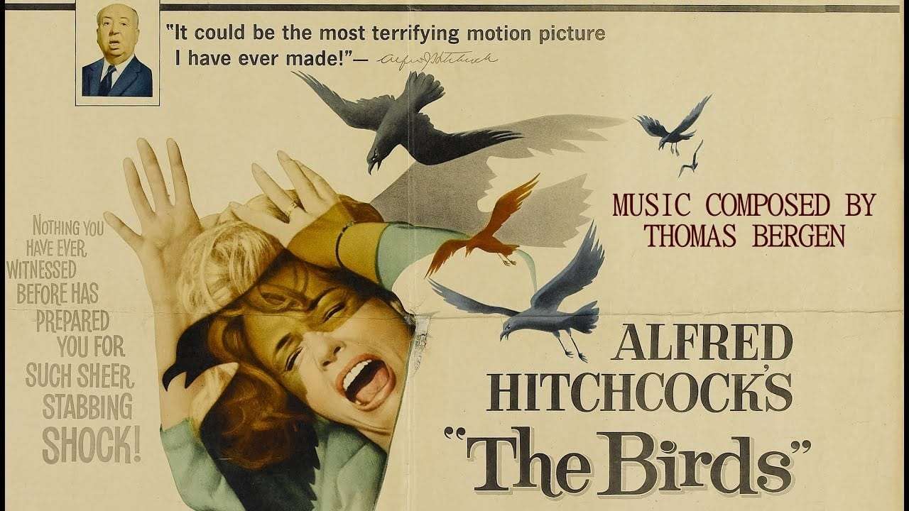 The Birds