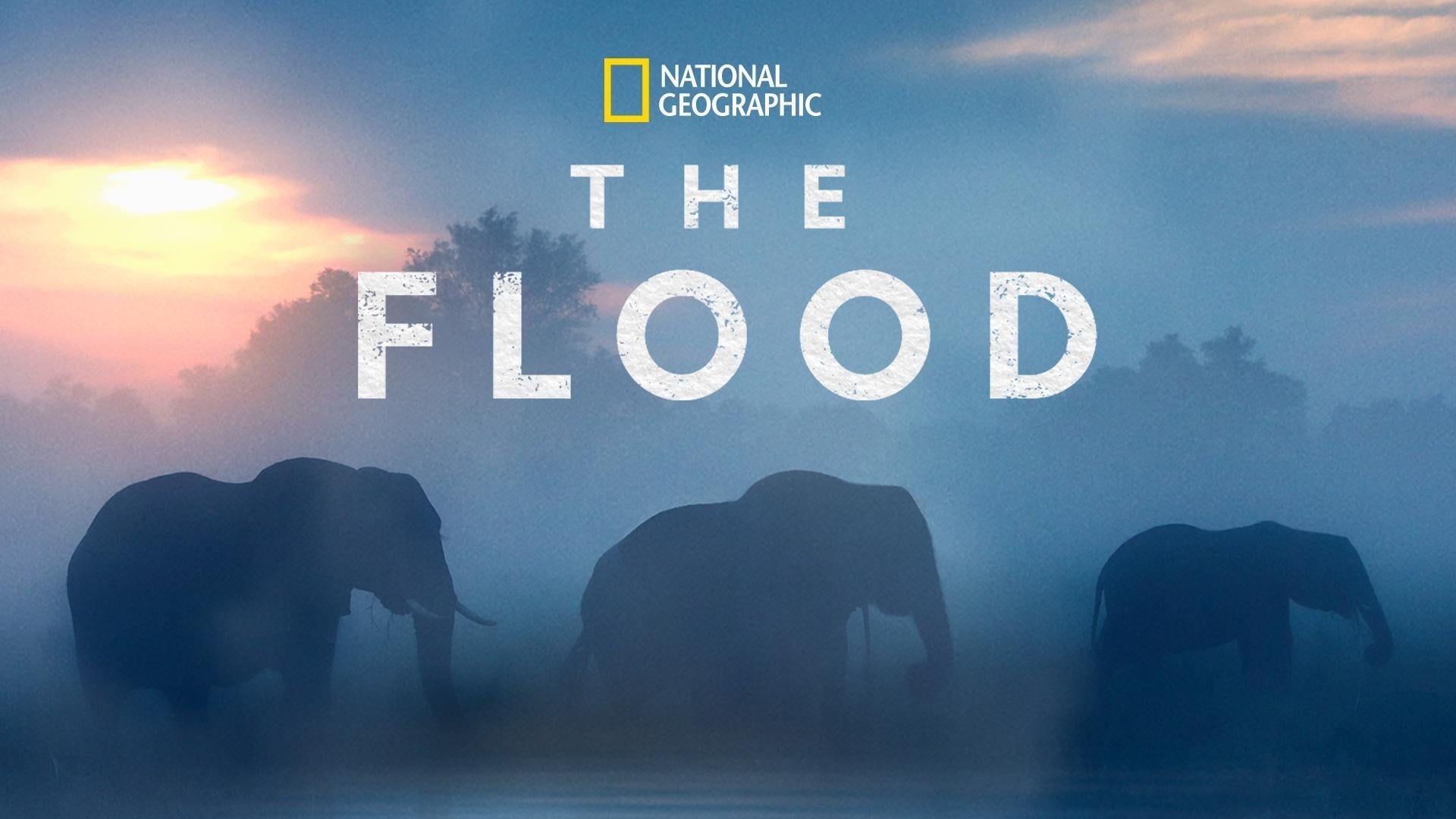 The Flood