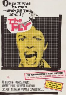 The Fly