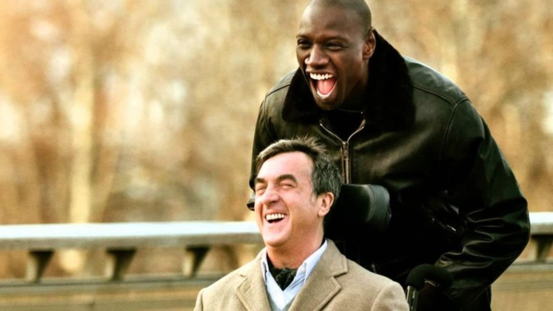 The Intouchables