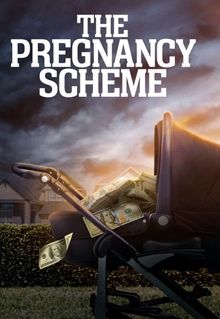 The Pregnancy Scheme