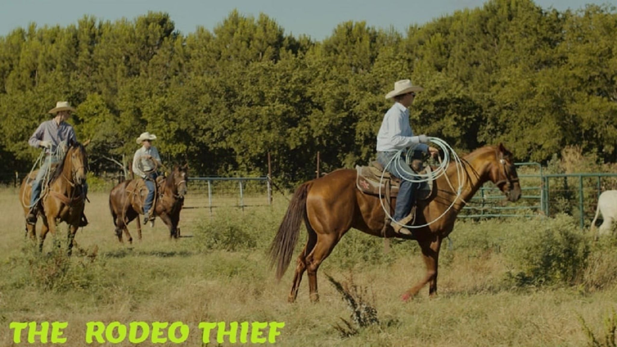 The Rodeo Thief