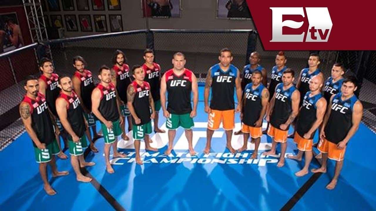 The Ultimate Fighter: Latin America