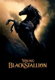 The Young Black Stallion