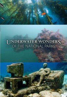 Underwater Wonders of the National Parks