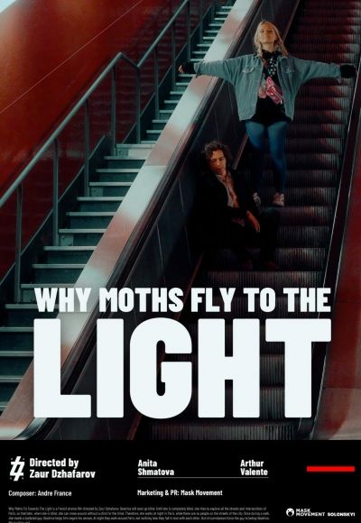 Why Moths Fly to the Light?