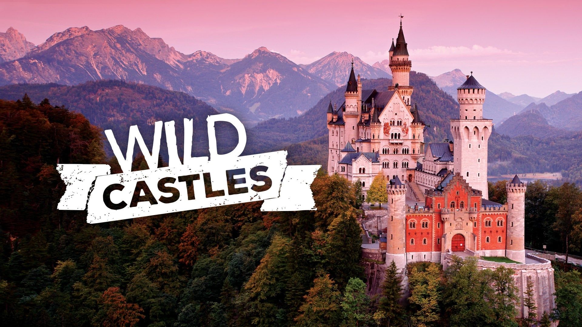 Wild Castles